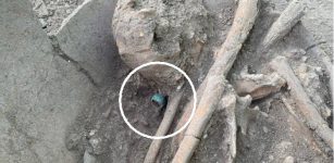 1,200-Year-Old Human Skeleton With A Jade Ring Unearthed In El Tigre Archaeological Zone