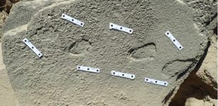 Ancient Footprints Offer Evidence Humans Wore Shoes 150,000 Years Ago - Scientists Say