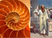 Could Arithmetic Be A Universal Truth Waiting To Be Discovered?