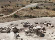 A 3,500-Year-Old Grape Seed Sheds Light On Great Tradition Of Vineyards Of Anatolia's Çal And Region