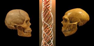 5 Surprising Things DNA Has Revealed About Our Ancestors