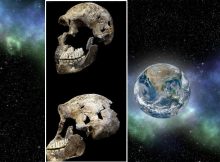 First Fossils Of Ancient Human Relatives Sent To Space - Tribute To Science And Our Ancient History