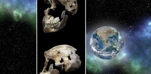 First Fossils Of Ancient Human Relatives Sent To Space - Tribute To Science And Our Ancient History