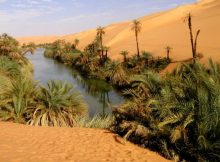 New Discovery Reveals Why And When The Sahara Desert Was Green