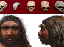 Meet Homo Longi: Extinct Human Species That May Replace Neanderthals As Our Closest Relatives