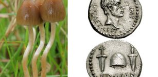 Strange Tale How The Liberty Cap Mushroom Got Its Name Starts In Ancient Rome