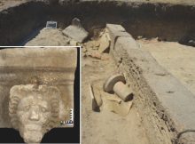 Outstanding Unfinished Ancient Marble Carving Of A Lion's Head Found Near Selinunte, Sicily