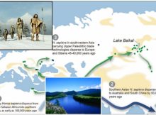 Can Pollen Analysis Solve The Ice Age Mystery How And When Homo Sapiens Migrated Across Europe And Asia?