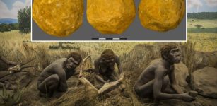 Are The Mysterious 'Ubeidiya Limestone Spheroids Of Early Hominins Evidence Of Intentional Symmetric Geometry?