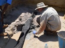 World's Oldest wooden Structure Discovered And It Predates Homo Sapiens - Archaeologists Say