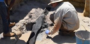 World's Oldest wooden Structure Discovered And It Predates Homo Sapiens - Archaeologists Say