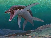 170-Million-Year-Old Sea Monster Identified As The Oldest Mega-Predatory Pliosaur