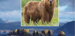 Mystery Of The Ancient Bear Bones In The Aleutian Islands, Alaska