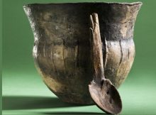 Early Farmers On The Baltic Coast Incorporated Fish Into Their Diets