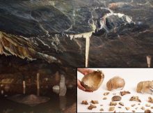 Oldest Evidence Of Human Cannibalism Found In Gough's Cave