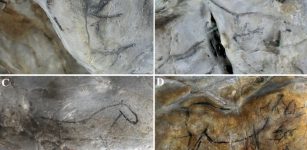 Was Ice Age Cave Art Influenced By Pareidolia?