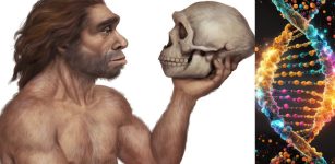 Denisovan Genetic Heritage Could Affect The Mental Health Of European And Asian Populations