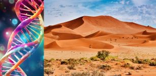 DNA Reveals Unique Ancestry Of Inhabitants Of The Angolan Namib Desert