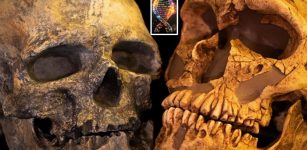 Encounter Between Neanderthals And Homo Sapiens - Genome Study Traces The History