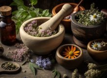Brief History Of Abortion - From Ancient Egyptian Herbs To Fighting Stigma Today