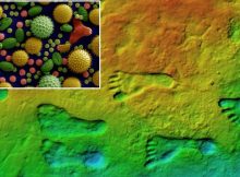 Humans Got To America 7,000 Years Earlier Than Thought - New Research Confirms