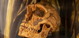 Why Is La Ferrassie Man A Unique And Famous Neanderthal?
