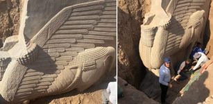 Remarkable Huge Ancient Lamassu Statue Unearthed In Nineveh, Iraq