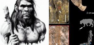 Neanderthals Hunted Dangerous Cave Lions In Eurasia 200,000 Years Ago