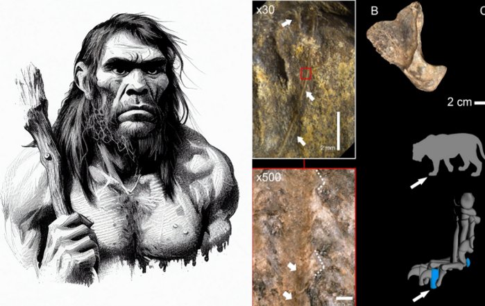 Neanderthals Hunted Dangerous Cave Lions In Eurasia 200,000 Years Ago
