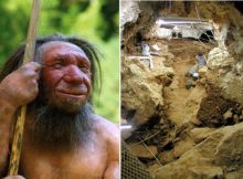 Neanderthal Intelligence Revealed By Their Use Of Fire For Cooking