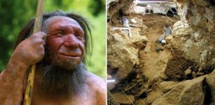 Neanderthal Intelligence Revealed By Their Use Of Fire For Cooking