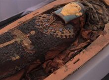 Thousands Of Ancient Egyptian Statues, Ushabti Figurines And Artifacts From New Kingdom Cemetery Revealed For The First Time