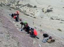 Extraordinary Fossils From The End Of The Age Of The Dinosaurs - Study