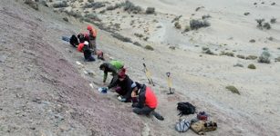 Extraordinary Fossils From The End Of The Age Of The Dinosaurs - Study