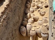 Hundreds Of Ancient Sealed Wine Jars Found In Mysterious Tomb Of Meret-Neith In Abydos