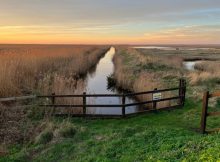 Mysterious History Of Fenland: The UK's Possible Link To A Megadrought That Led To The Collapse Of Civilisations Around The World
