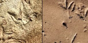 290-Million-Year-Old Bird-Like Footprints Left By Unknown Animals Found In Africa