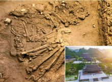 Oldest Human Remains Unearthed In Vietman