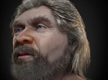 Face Of Neanderthal Who Lived 56,000 Years Ago Reconstructed