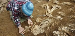 Riddle Of Orkney's Lost Tomb - Fascinating Neolithic Discovery