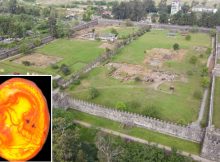 Roman Fort Of Apsaros Reveal Some Of Its Archaeological Secrets