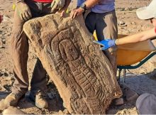 3,000-Year-Old Stela Challenges Assumptions Of Gender And Social Roles In Prehistoric Times