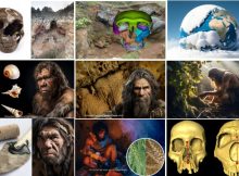 Top 10 Discoveries About Our Ancient Ancestors In 2023
