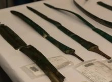 Seven Bronze Age Swords And Large Hoard Of Slavic Coins Found In Germany