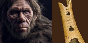 Remarkable Neanderthal Flute From Divje Babe Is The World's Oldest Musical Instrument