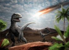 More Than A Meteorite: New Clues About The Demise Of Dinosaurs