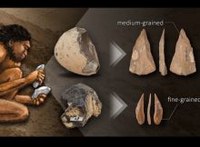 Paleolithic Humans May Have Understood The Properties Of Rocks For Making Stone Tools