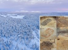 Mysterious Stone Age Cemetery Found Near The Arctic - Why Are The Graves Empty?