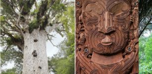 Tane: Lord Of The Forest Who Brought Three Baskets Of Knowledge To People In Maori Mythology