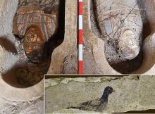 Intriguing Ptolemaic And Roman Treasures Unearthed In Al Bahnasa, Egypt